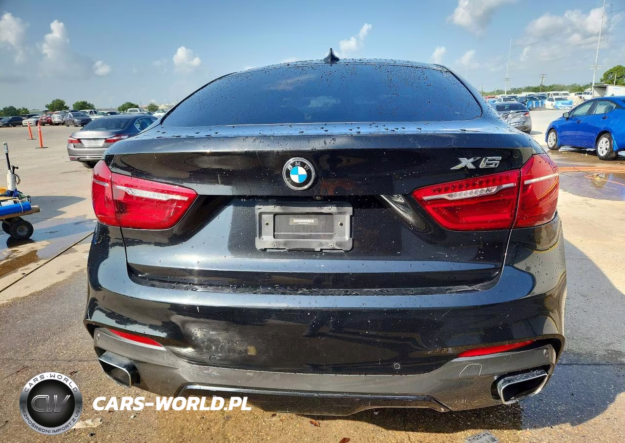 2019 BMW X6 Sdrive35I VIN:5UXKU0C58K0H98773 - 6