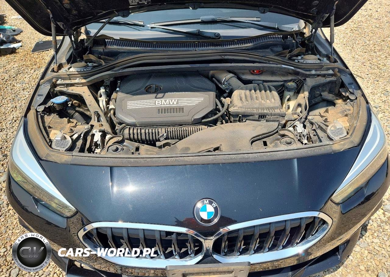 2022 BMW 228Xi VIN:WBA73AK05N7K11179 - 11