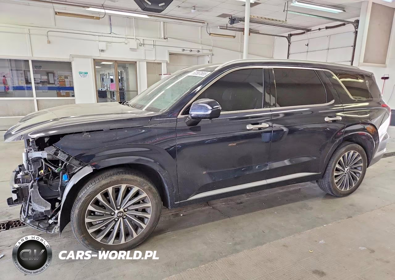 2025 Hyundai Palisade Calligraphy VIN:KM8R7DGE2SU816128 - 1