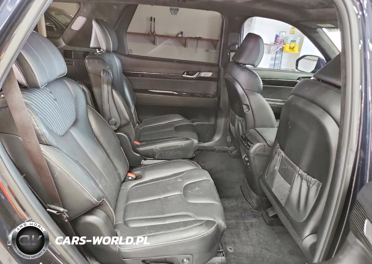 2025 Hyundai Palisade Calligraphy VIN:KM8R7DGE2SU816128 - 11