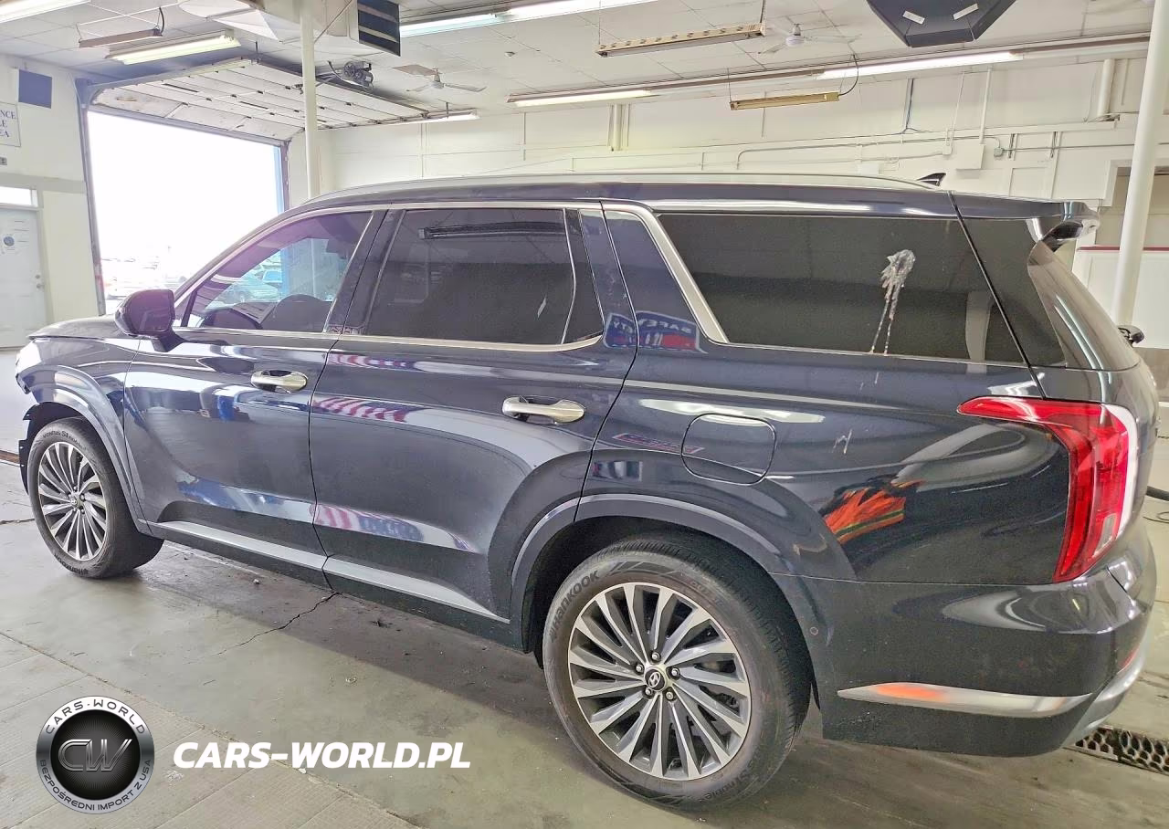 2025 Hyundai Palisade Calligraphy VIN:KM8R7DGE2SU816128 - 2