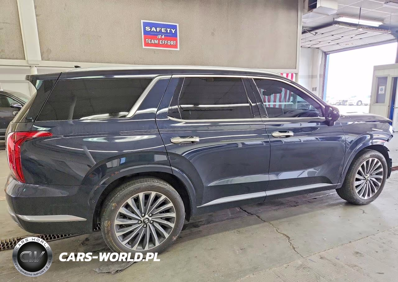 2025 Hyundai Palisade Calligraphy VIN:KM8R7DGE2SU816128 - 3