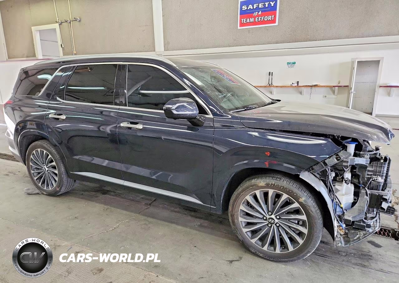 2025 Hyundai Palisade Calligraphy VIN:KM8R7DGE2SU816128 - 4