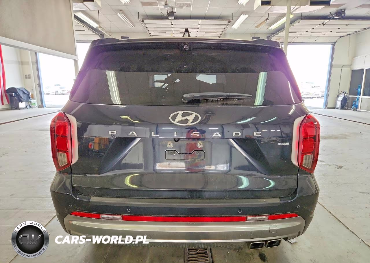 2025 Hyundai Palisade Calligraphy VIN:KM8R7DGE2SU816128 - 6