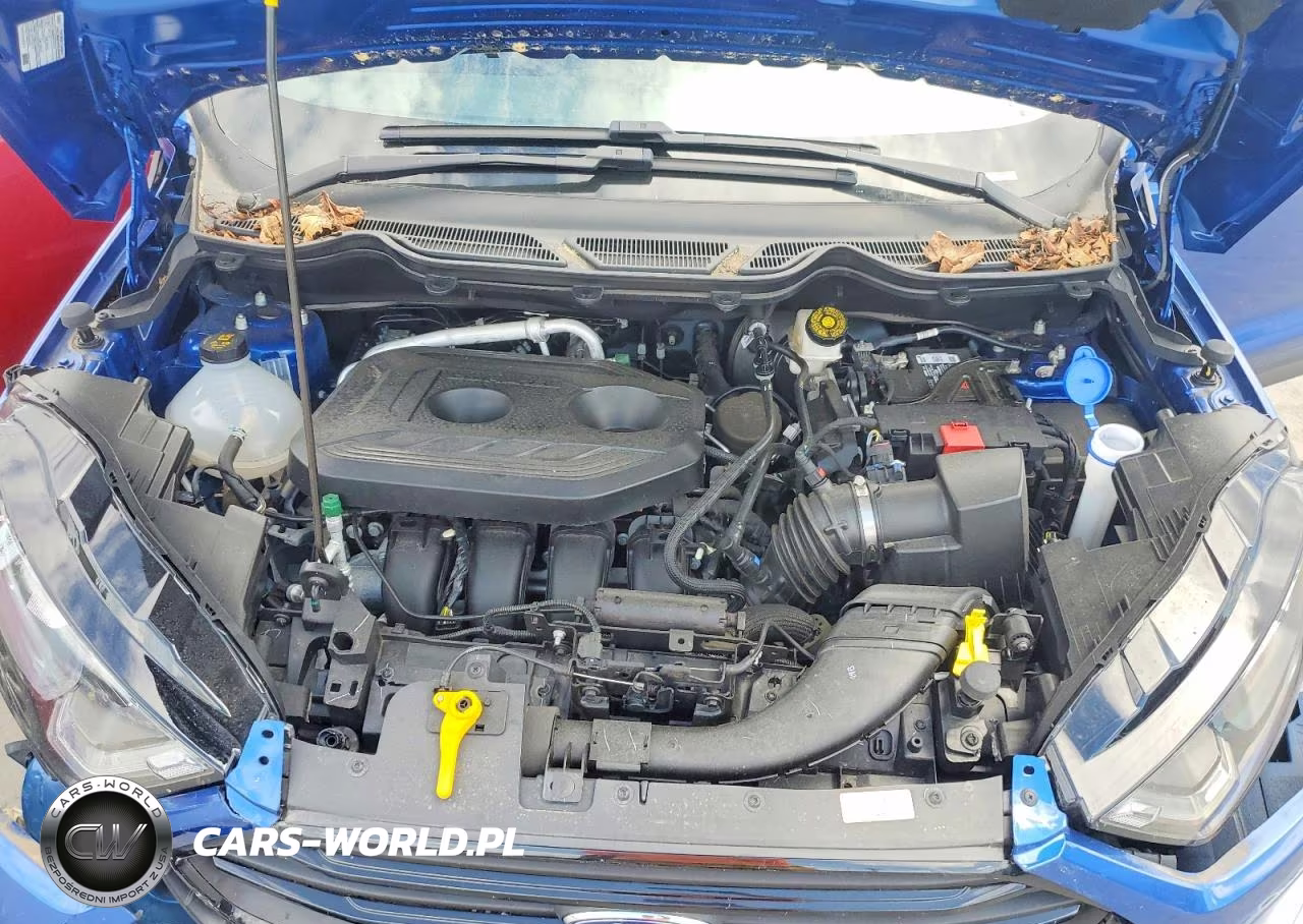 2021 Ford Ecosport Ses VIN:MAJ6S3JL0MC436632 - 12