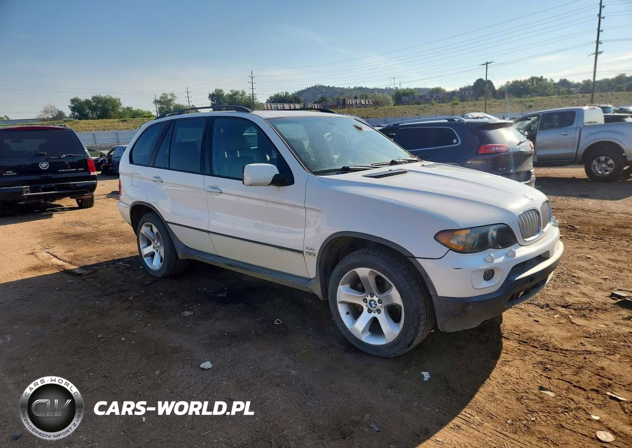 2005 BMW X5 4.4I VIN:5UXFB53555LV14987 - 4