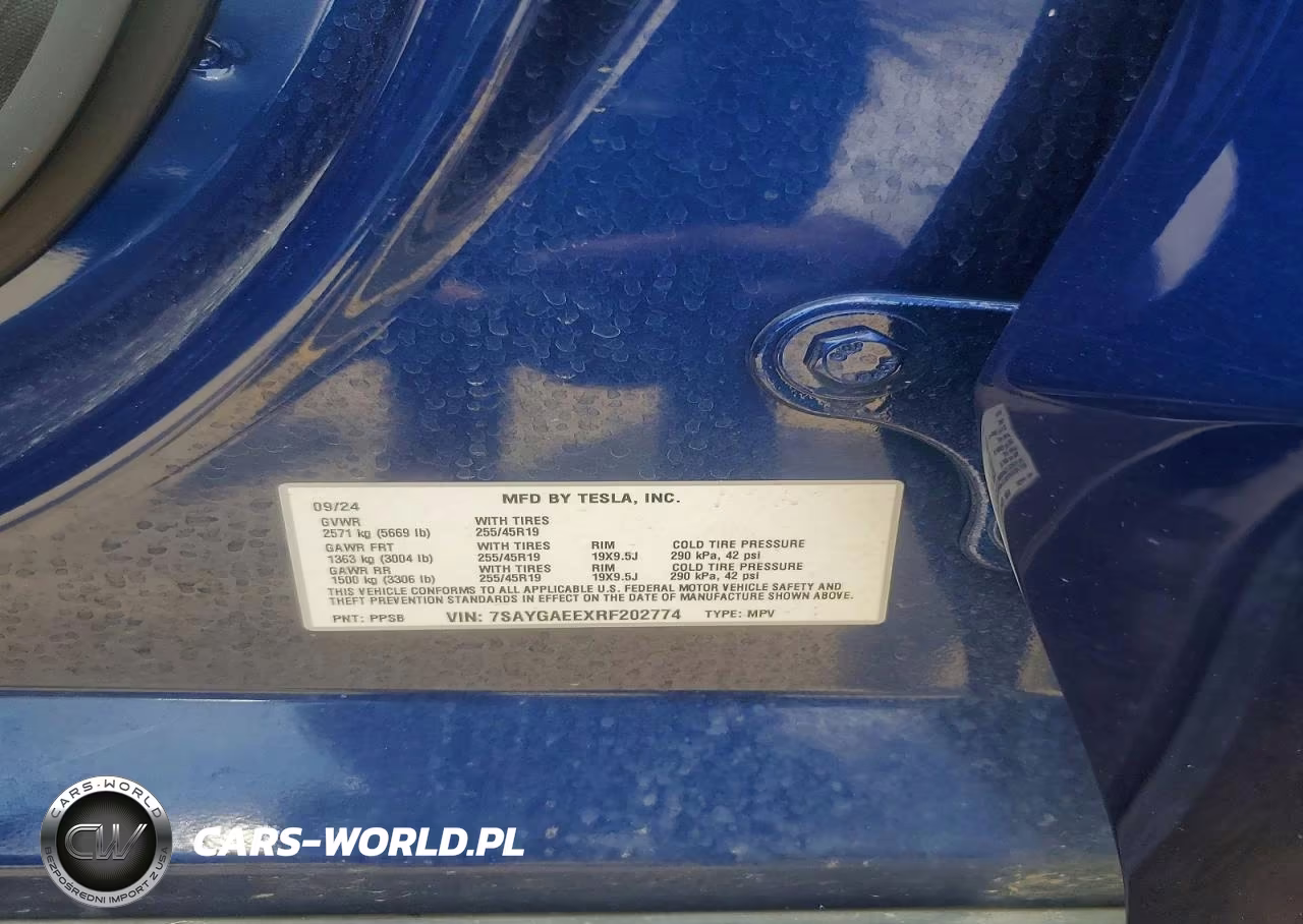 2024 Tesla Model Y VIN:7SAYGAEEXRF202774 - 13