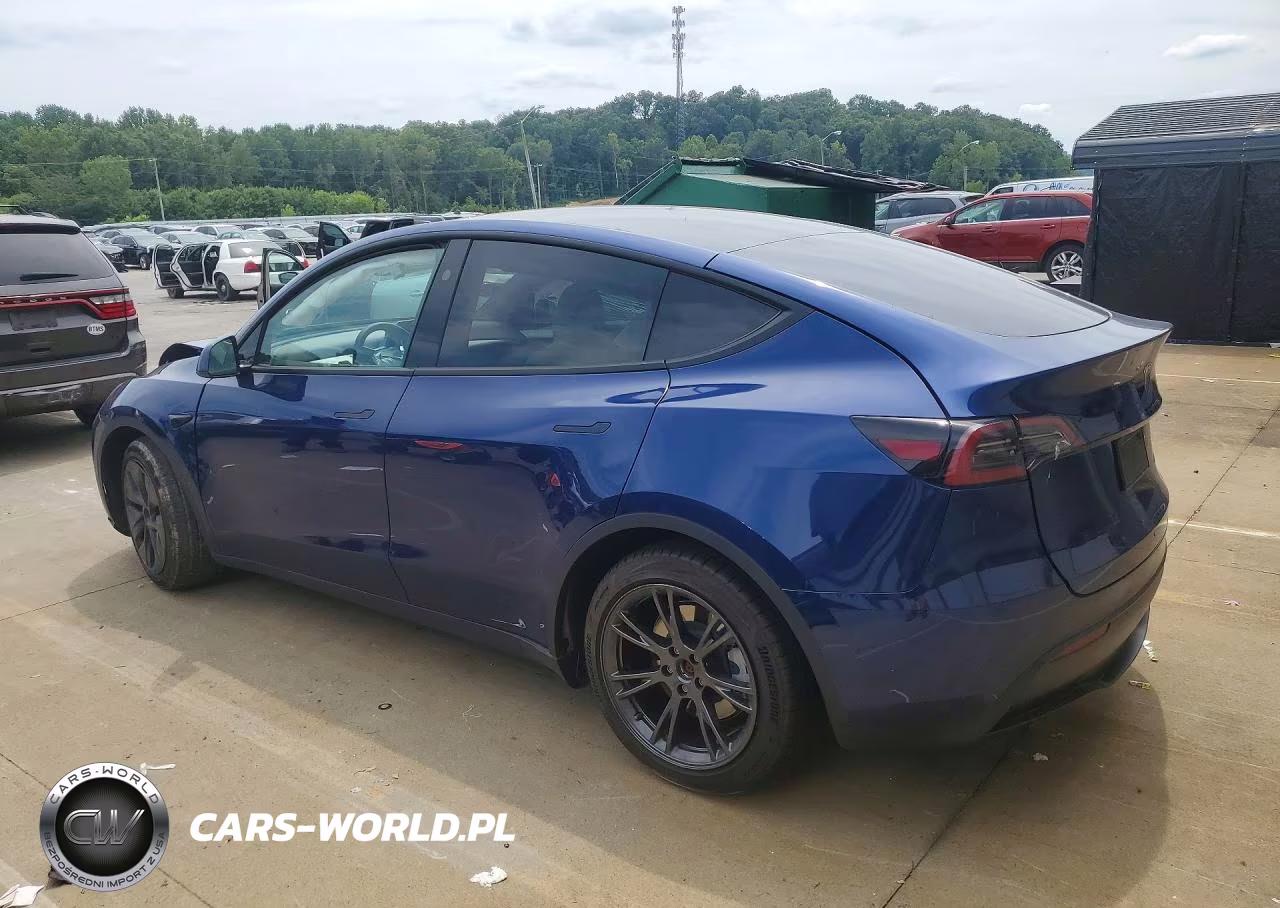 2024 Tesla Model Y VIN:7SAYGAEEXRF202774 - 2