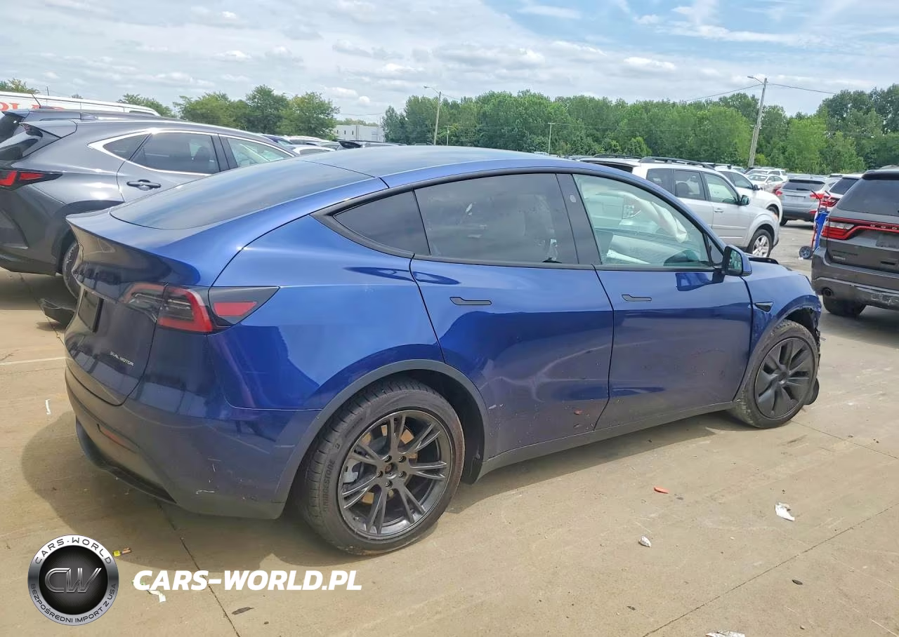 2024 Tesla Model Y VIN:7SAYGAEEXRF202774 - 3