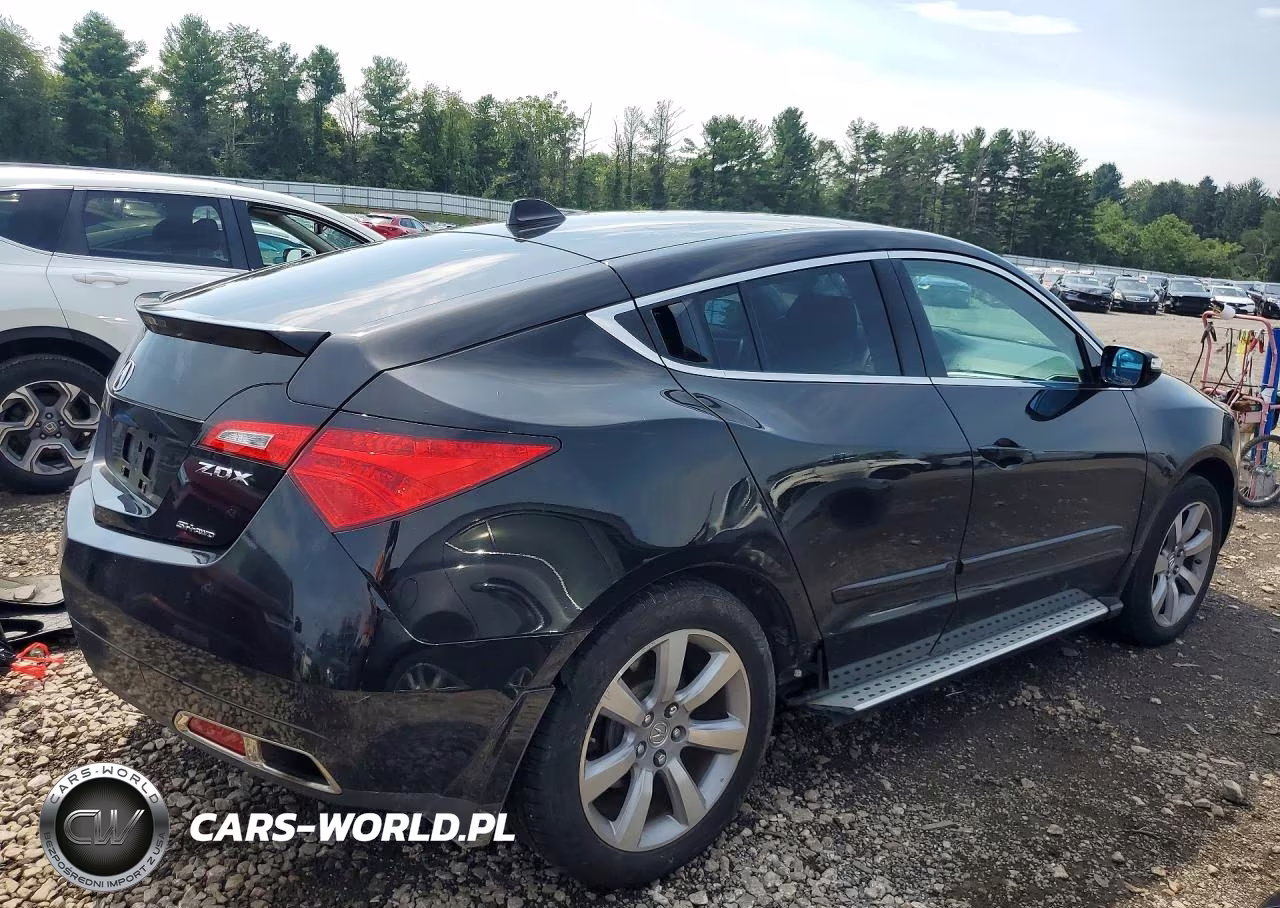2010 Acura Zdx Advance VIN:2HNYB1H61AH500932 - 3