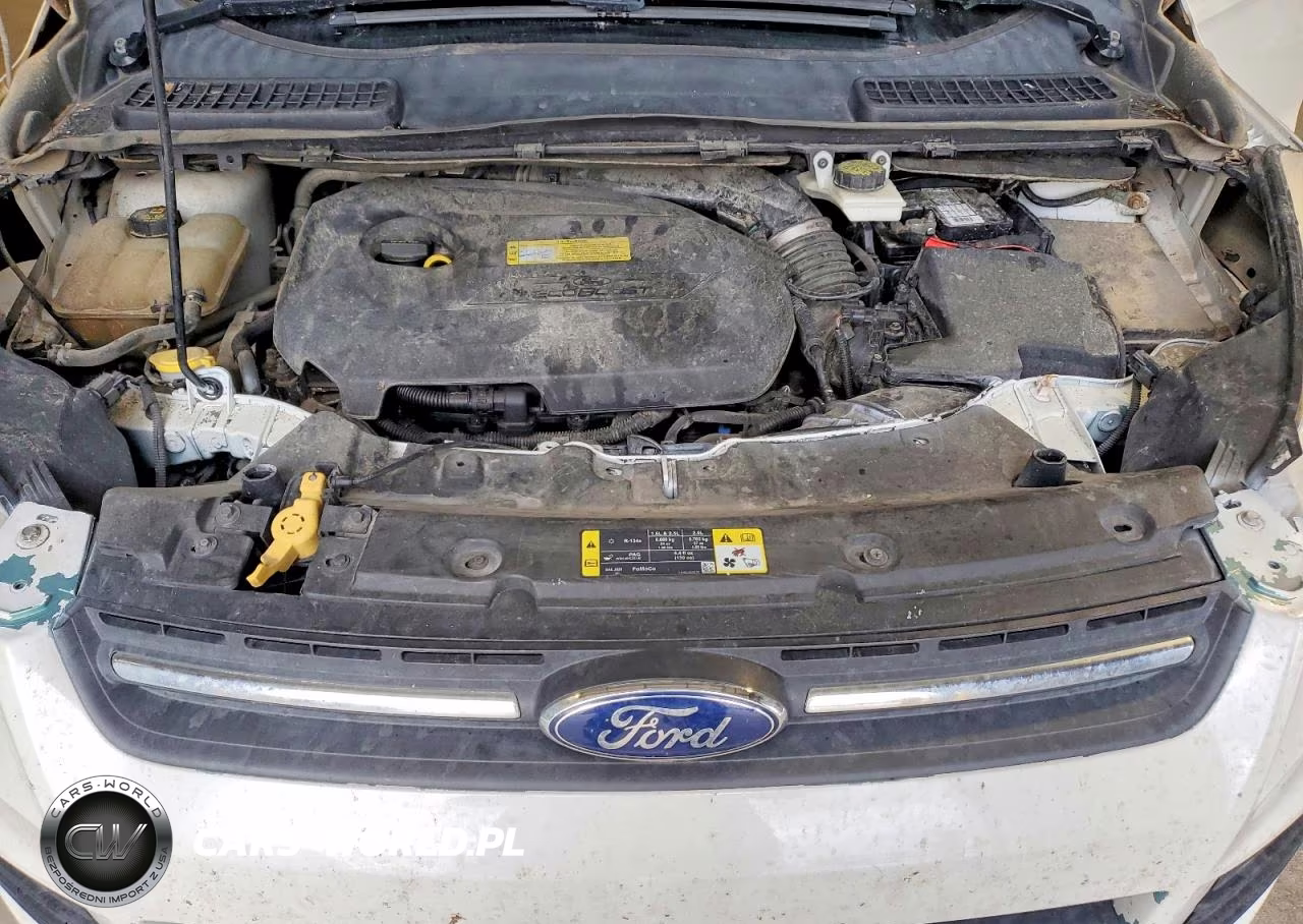 2013 Ford Escape Se VIN:1FMCU0GXXDUB95040 - 12