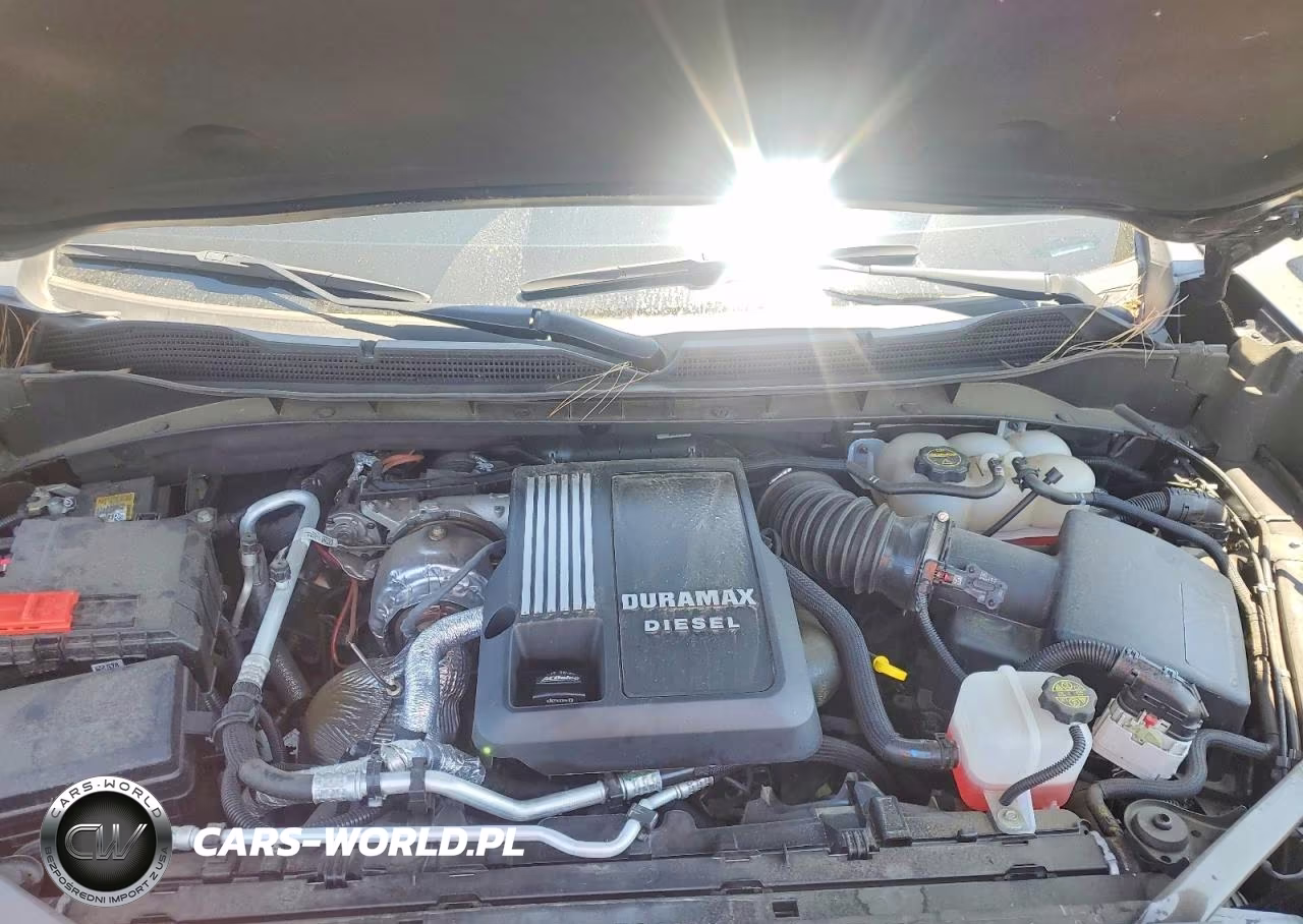 2025 Chevrolet Silverado K1500 Zr2 VIN:3GCUKHE85SG162889 - 11