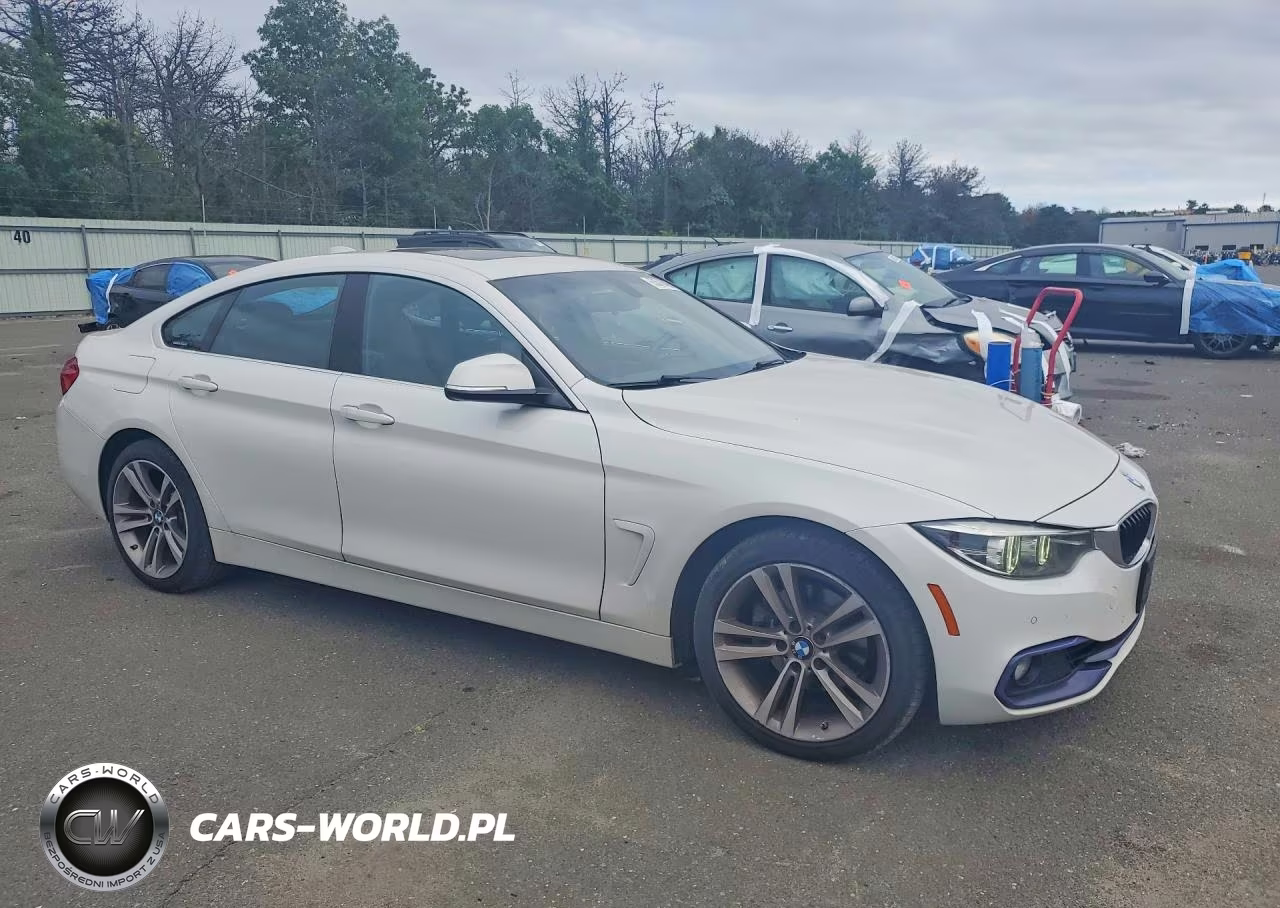 2019 BMW 430Xi Gran Coupe VIN:WBA4J3C51KBL05244 - 4