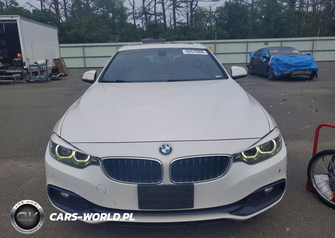 2019 BMW 430Xi Gran Coupe VIN:WBA4J3C51KBL05244 - 5