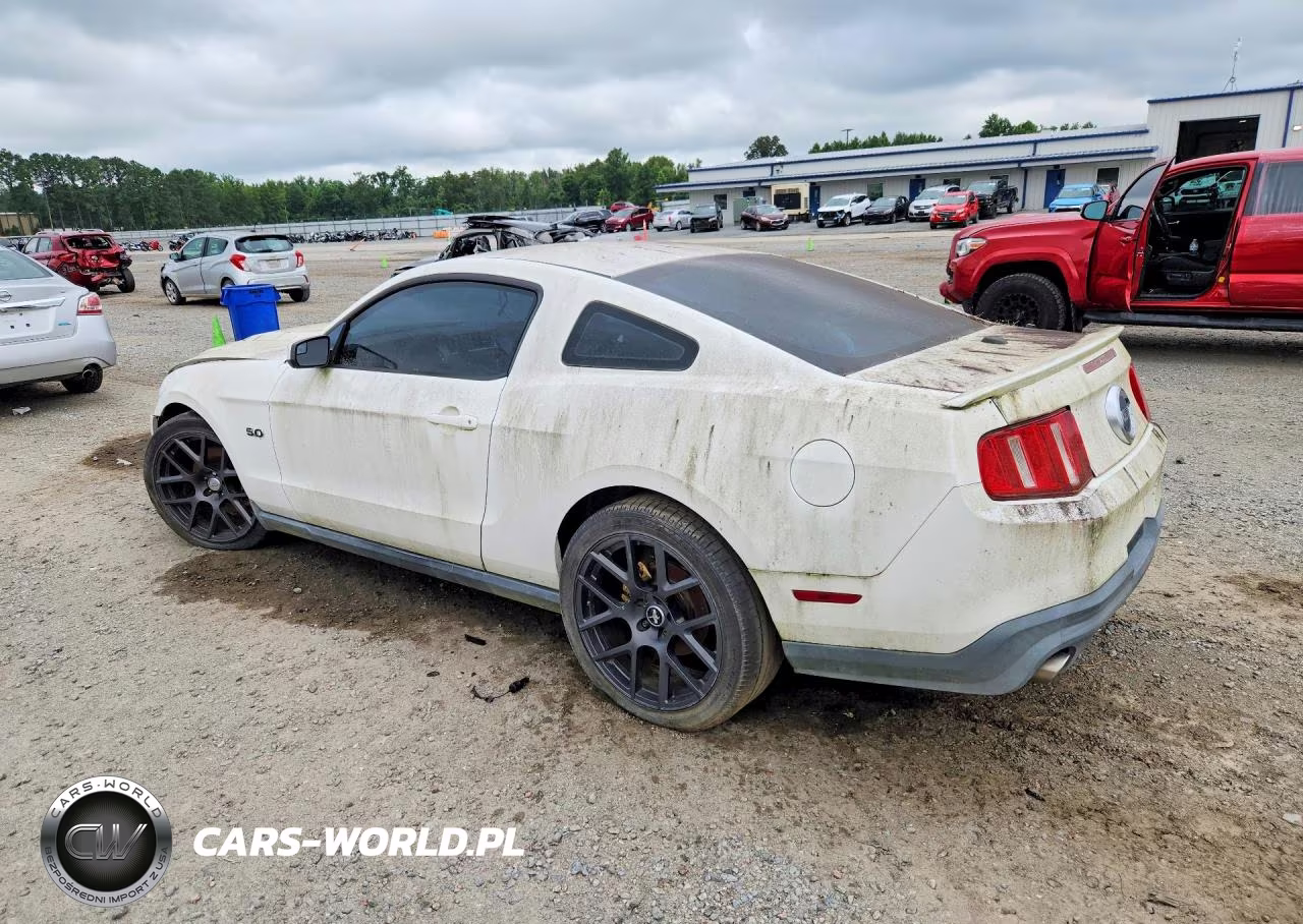 2011 Ford Mustang Gt VIN:1ZVBP8CF5B5132791 - 2