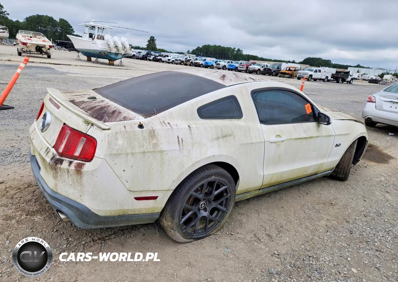 2011 Ford Mustang Gt VIN:1ZVBP8CF5B5132791 - 3