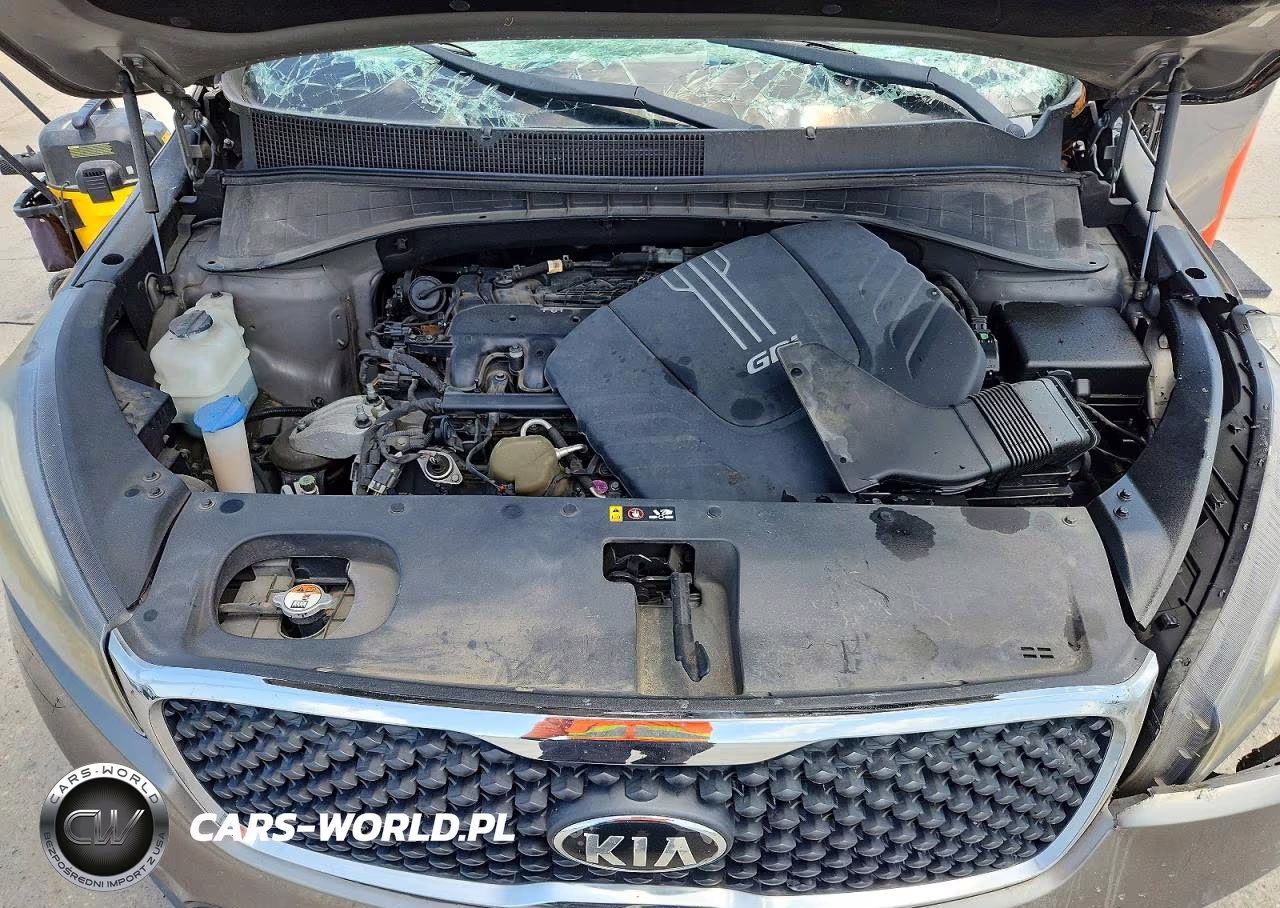 2016 Kia Sorento Lx V6 VIN:5XYPG4A59GG141584 - 12