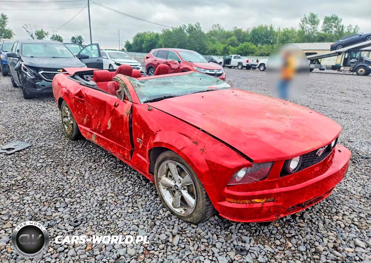 2007 Ford Mustang Gt VIN:1ZVHT85H775286981 - 4