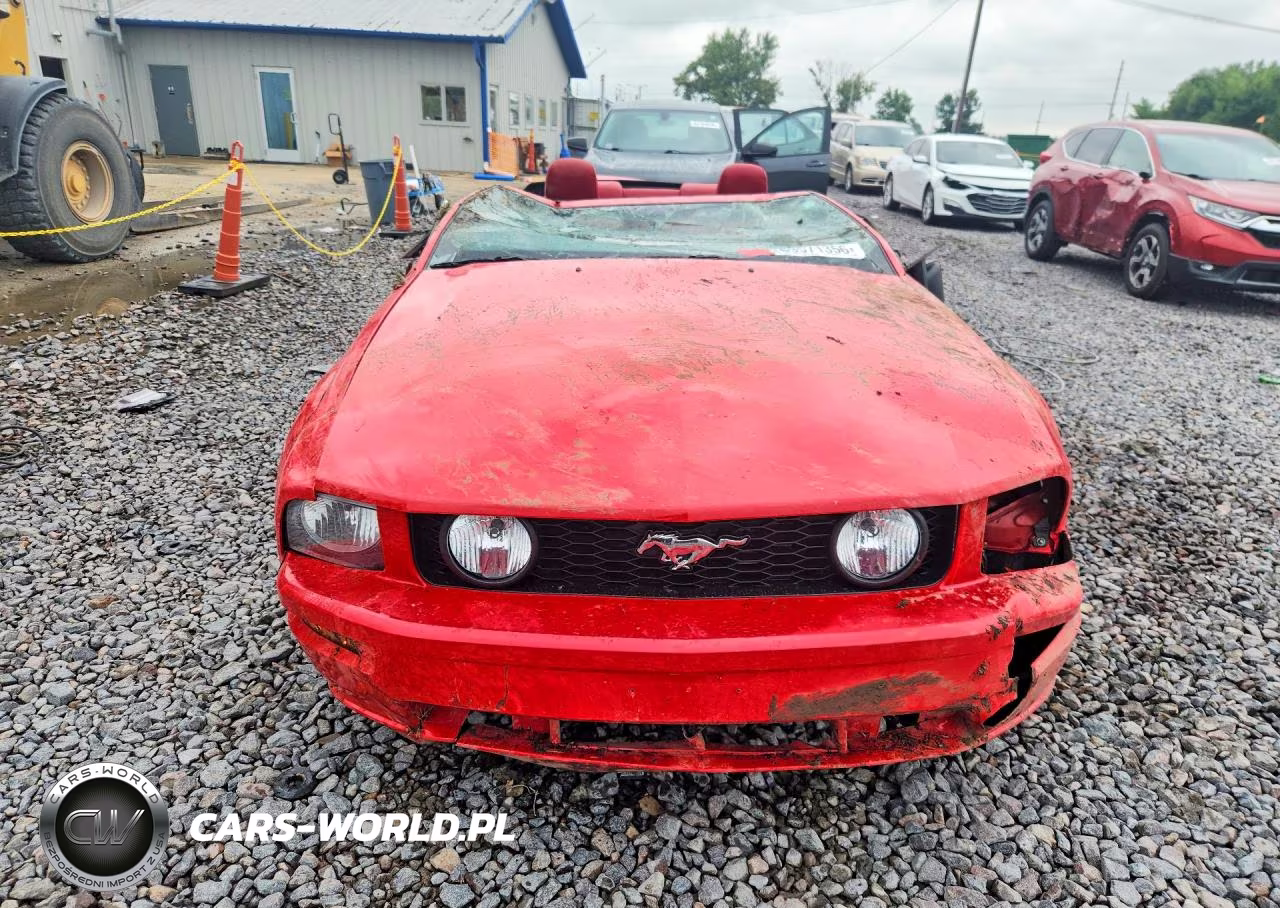 2007 Ford Mustang Gt VIN:1ZVHT85H775286981 - 5