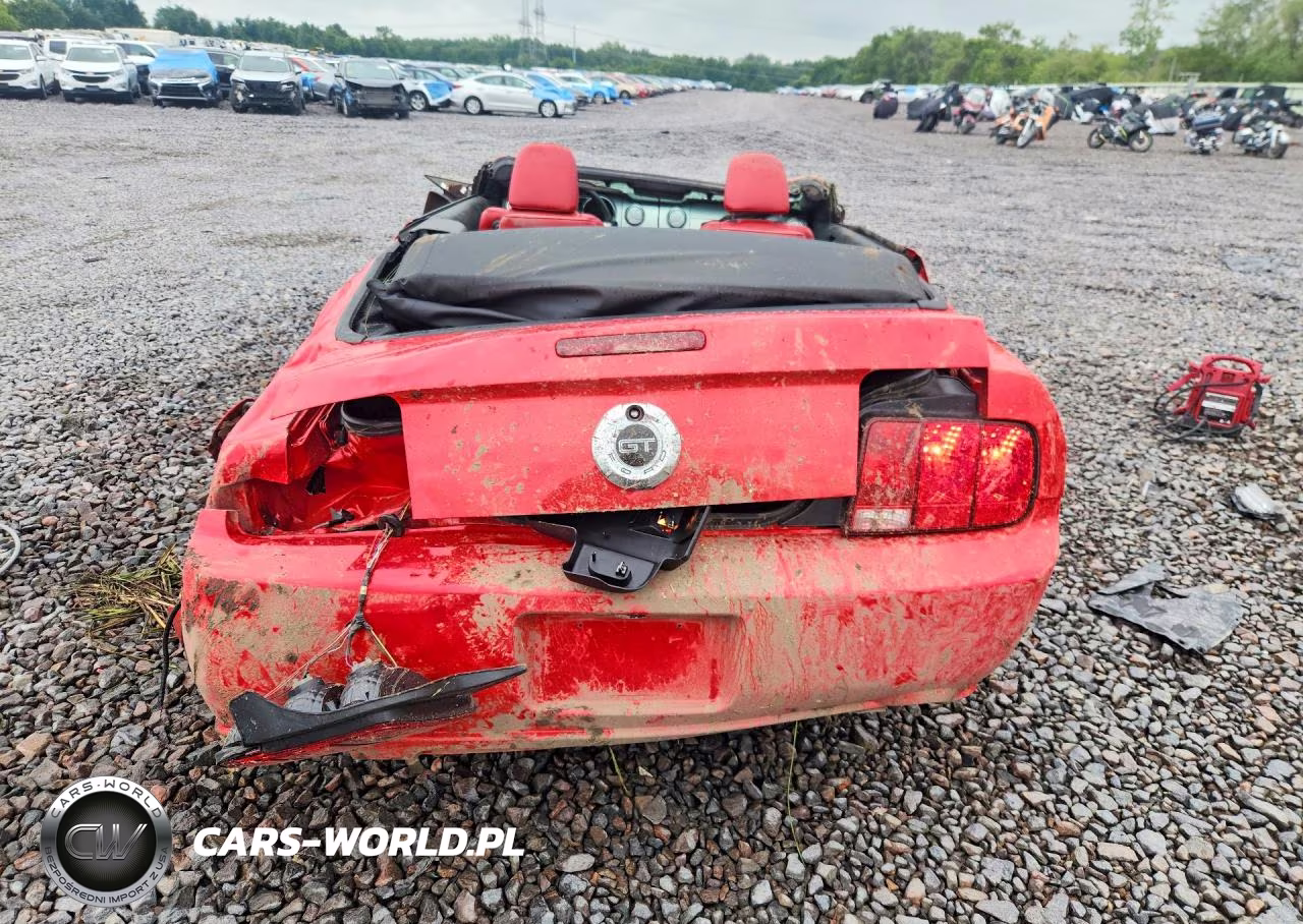 2007 Ford Mustang Gt VIN:1ZVHT85H775286981 - 6