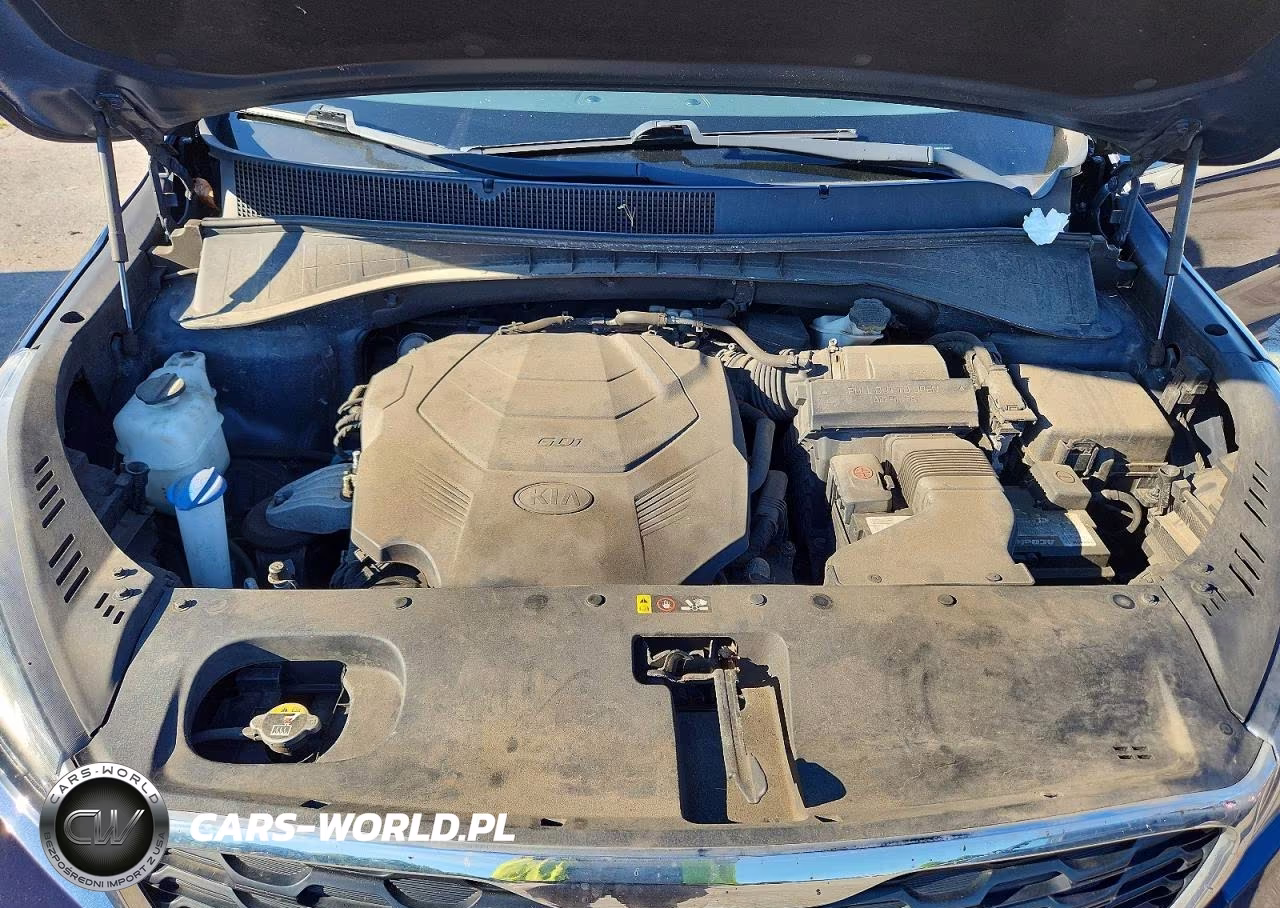 2019 Kia Sorento Lx V6 VIN:5XYPGDA54KG441669 - 12