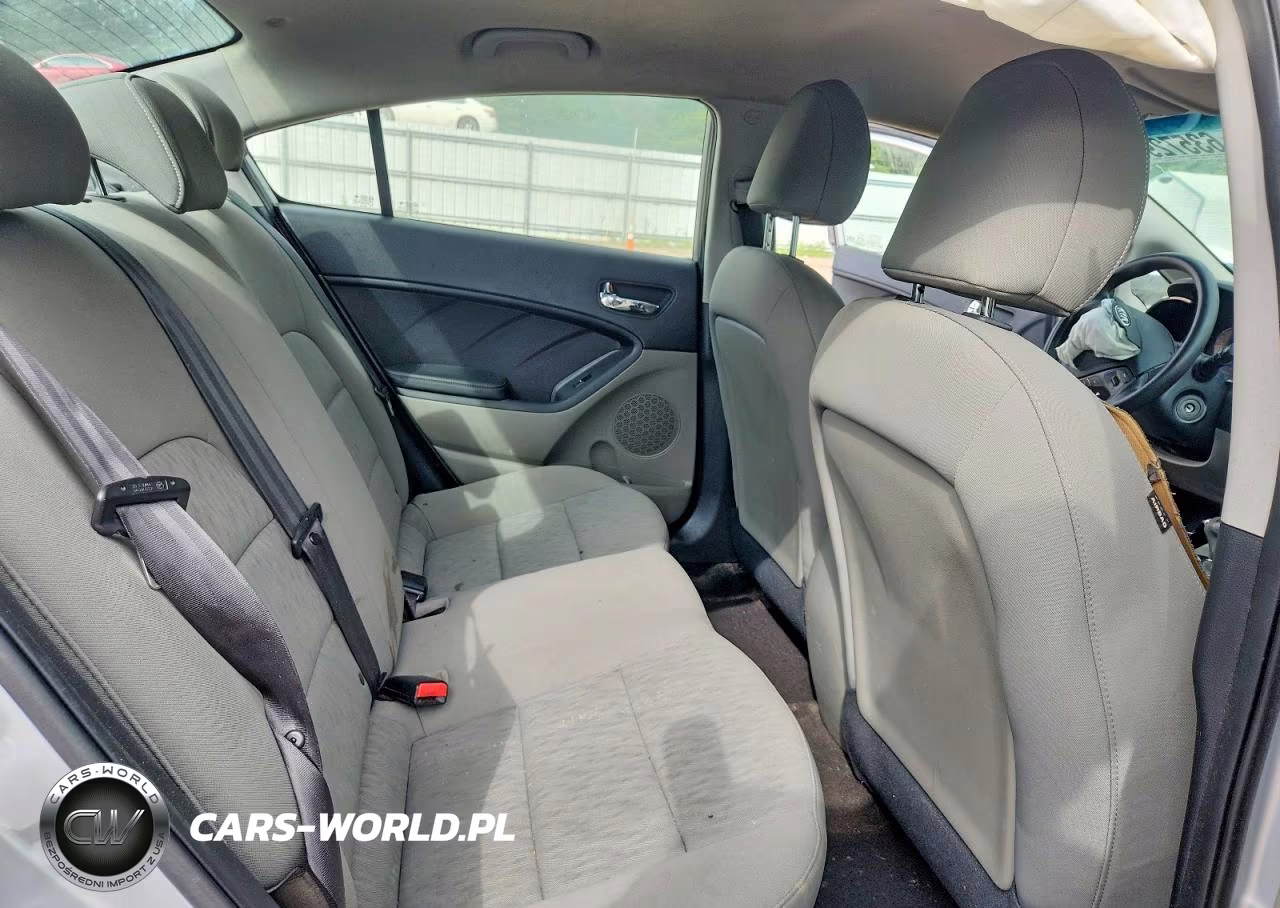 2016 Kia Forte Lx VIN:KNAFK4A6XG5478337 - 10