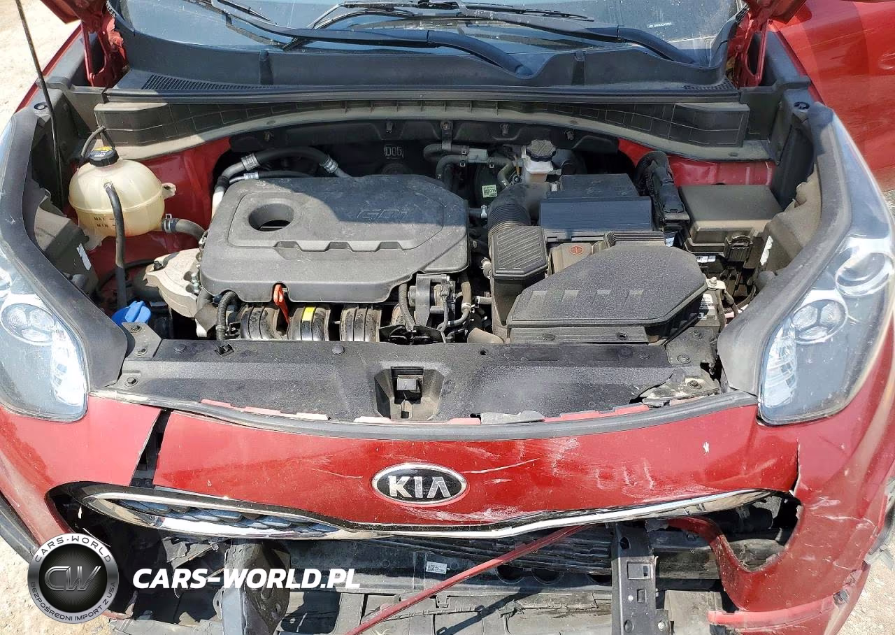 2022 Kia Sportage Lx VIN:KNDPMCAC3N7965561 - 11