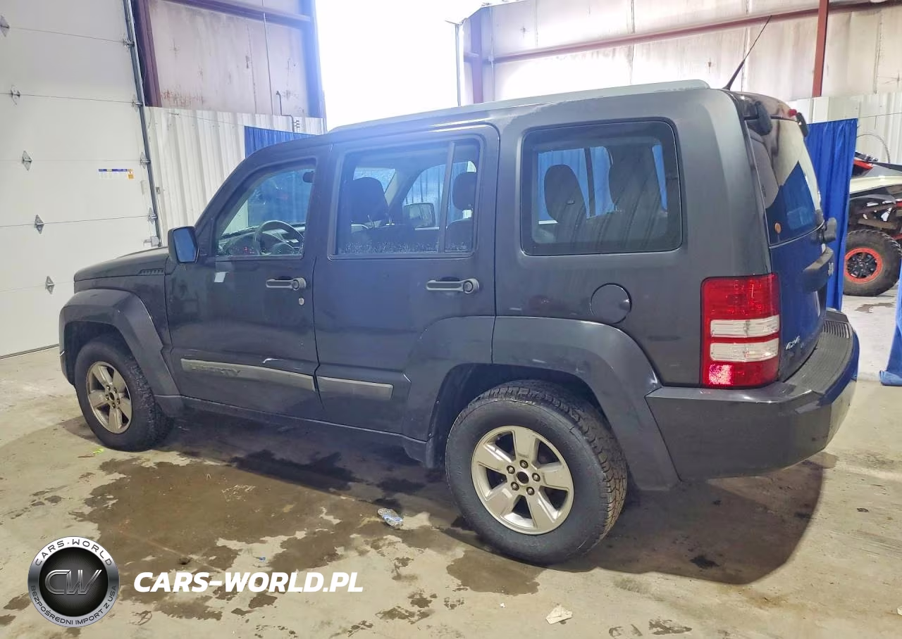 2011 Jeep Liberty VIN:1J4PN2GKXBW565384 - 2