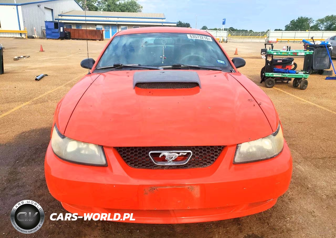 2004 Ford Mustang Gt VIN:1FAFP42X14F108434 - 5