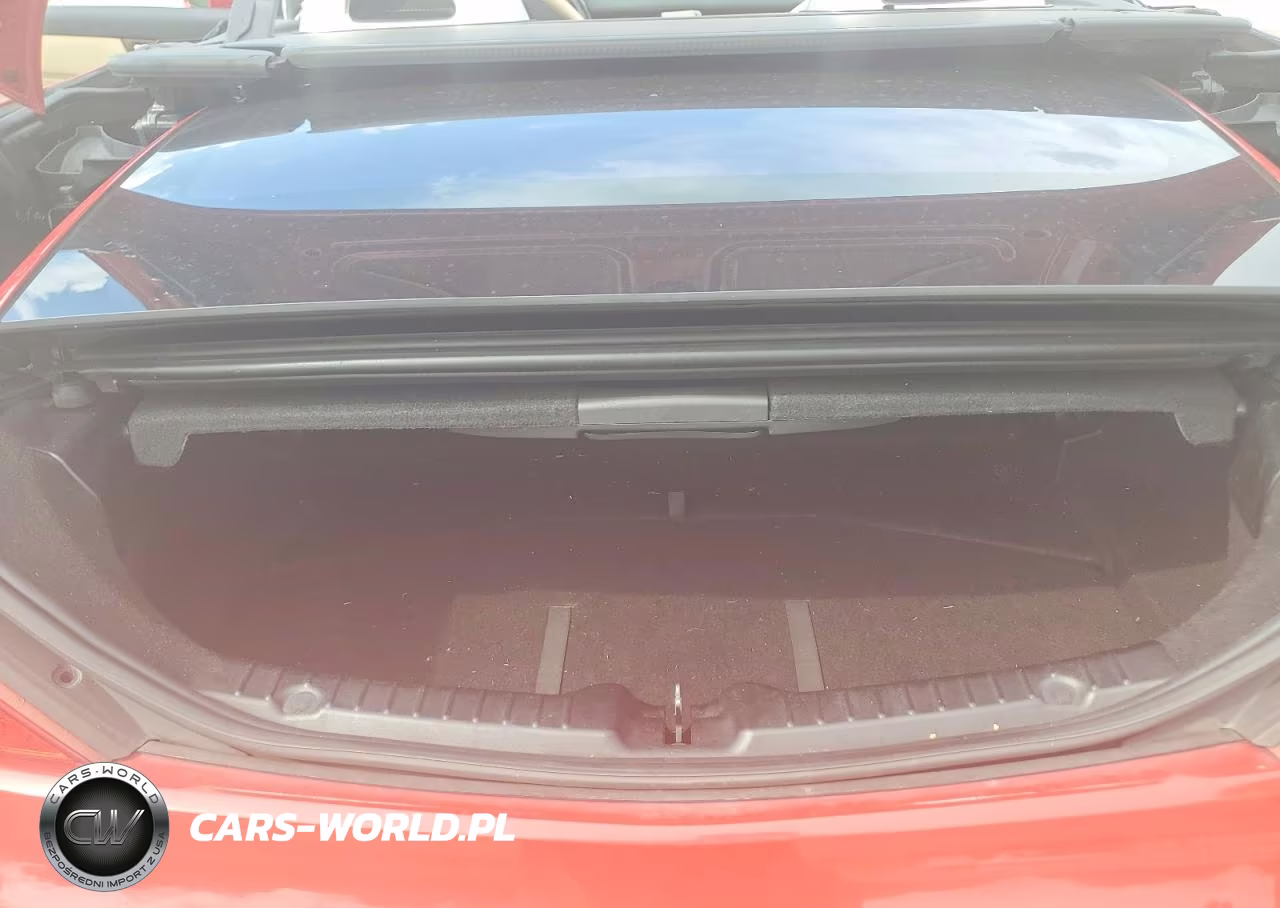 2015 Mercedes-Benz Slk 250 VIN:WDDPK4HA2FF113103 - 10
