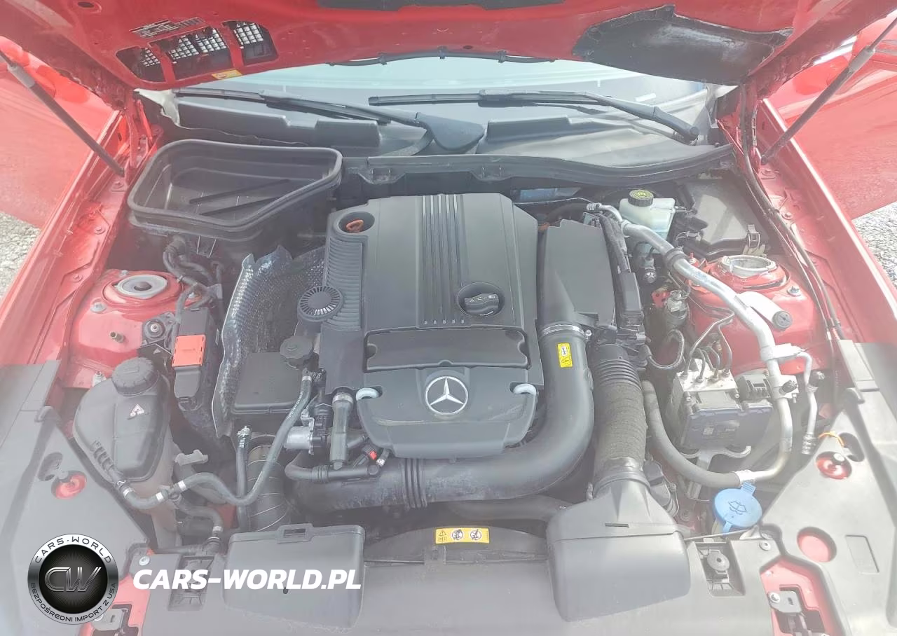 2015 Mercedes-Benz Slk 250 VIN:WDDPK4HA2FF113103 - 11
