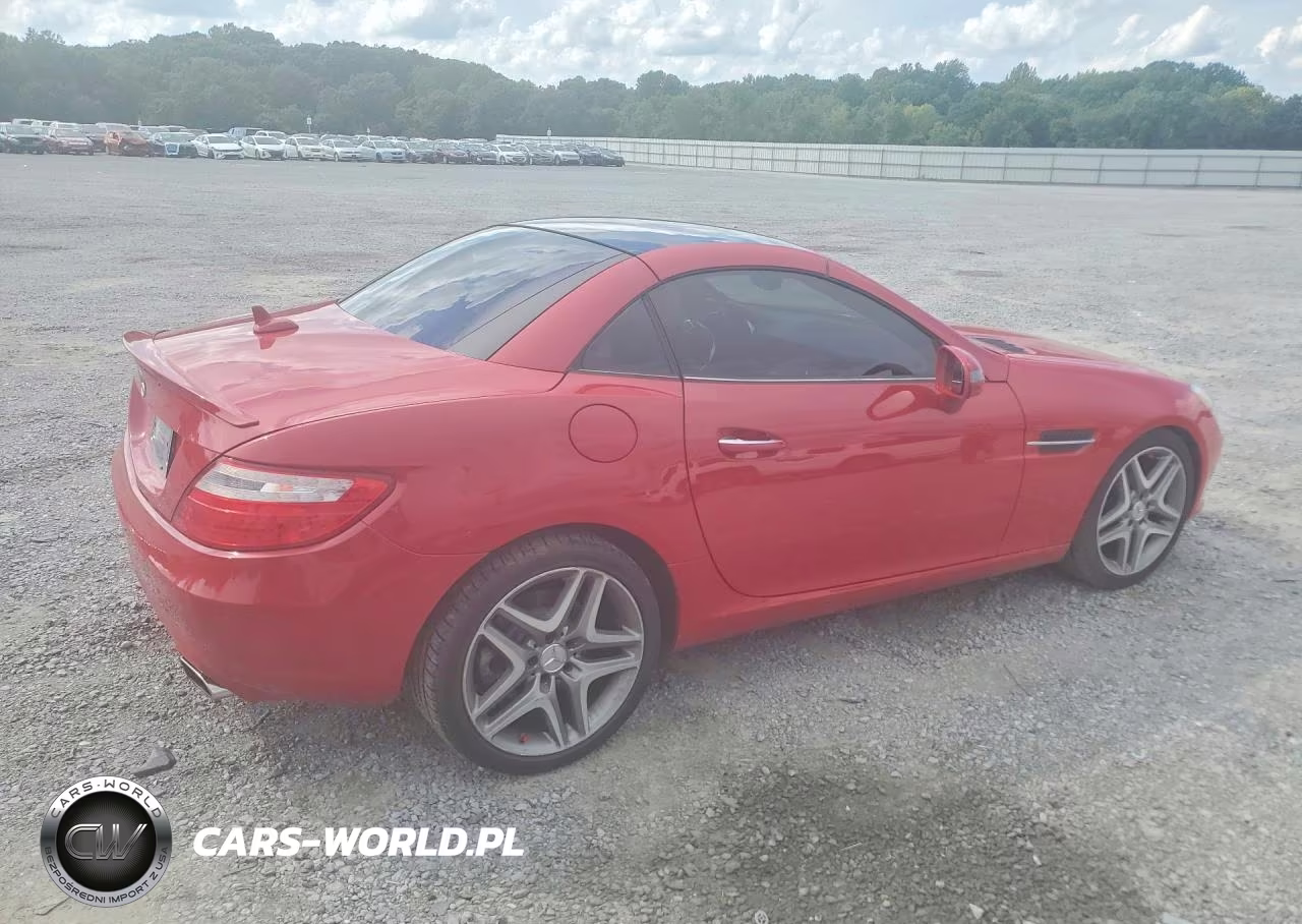 2015 Mercedes-Benz Slk 250 VIN:WDDPK4HA2FF113103 - 3