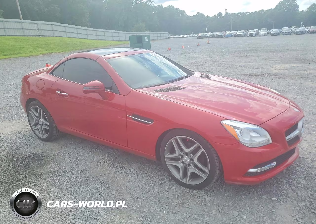 2015 Mercedes-Benz Slk 250 VIN:WDDPK4HA2FF113103 - 4