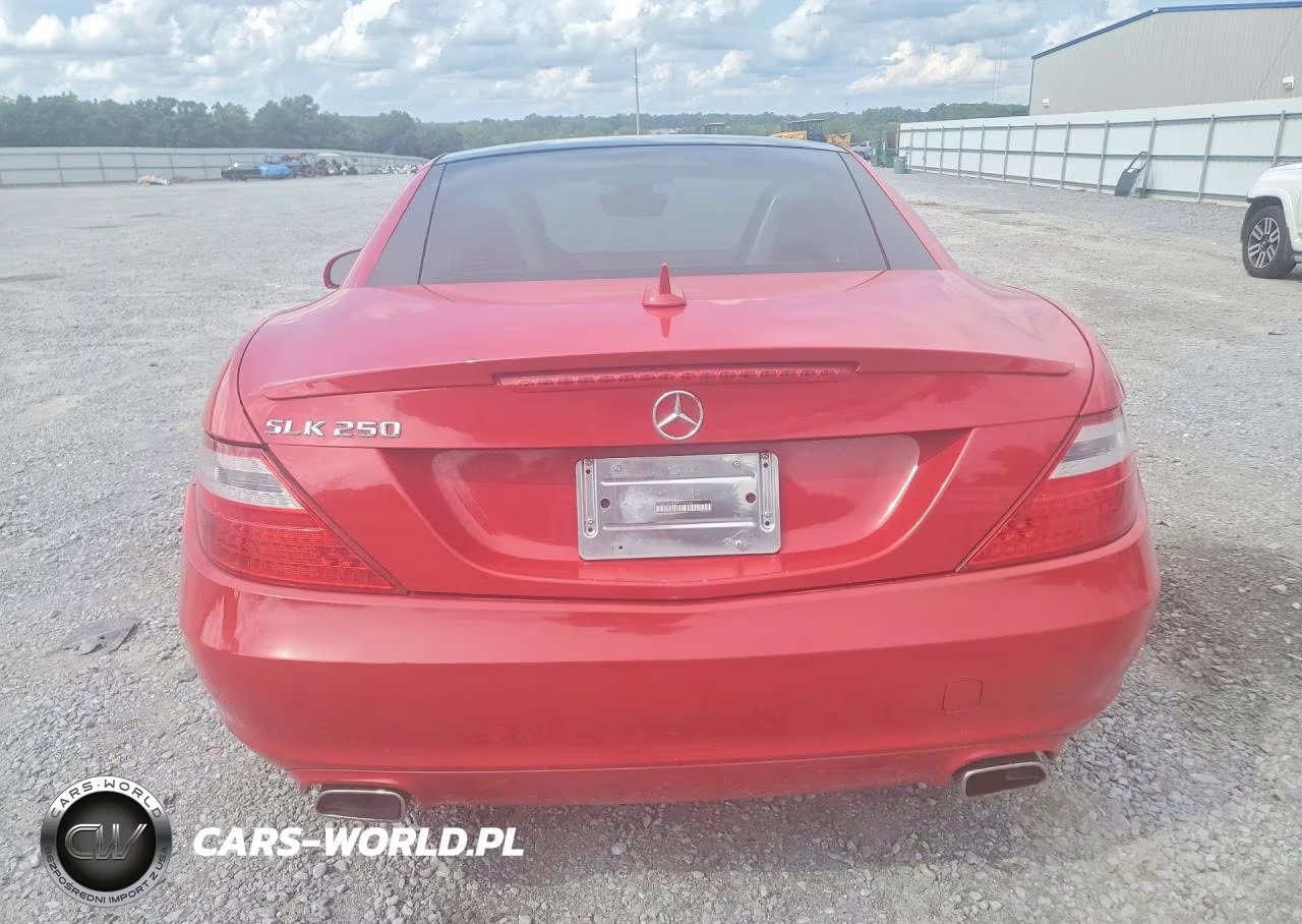 2015 Mercedes-Benz Slk 250 VIN:WDDPK4HA2FF113103 - 6