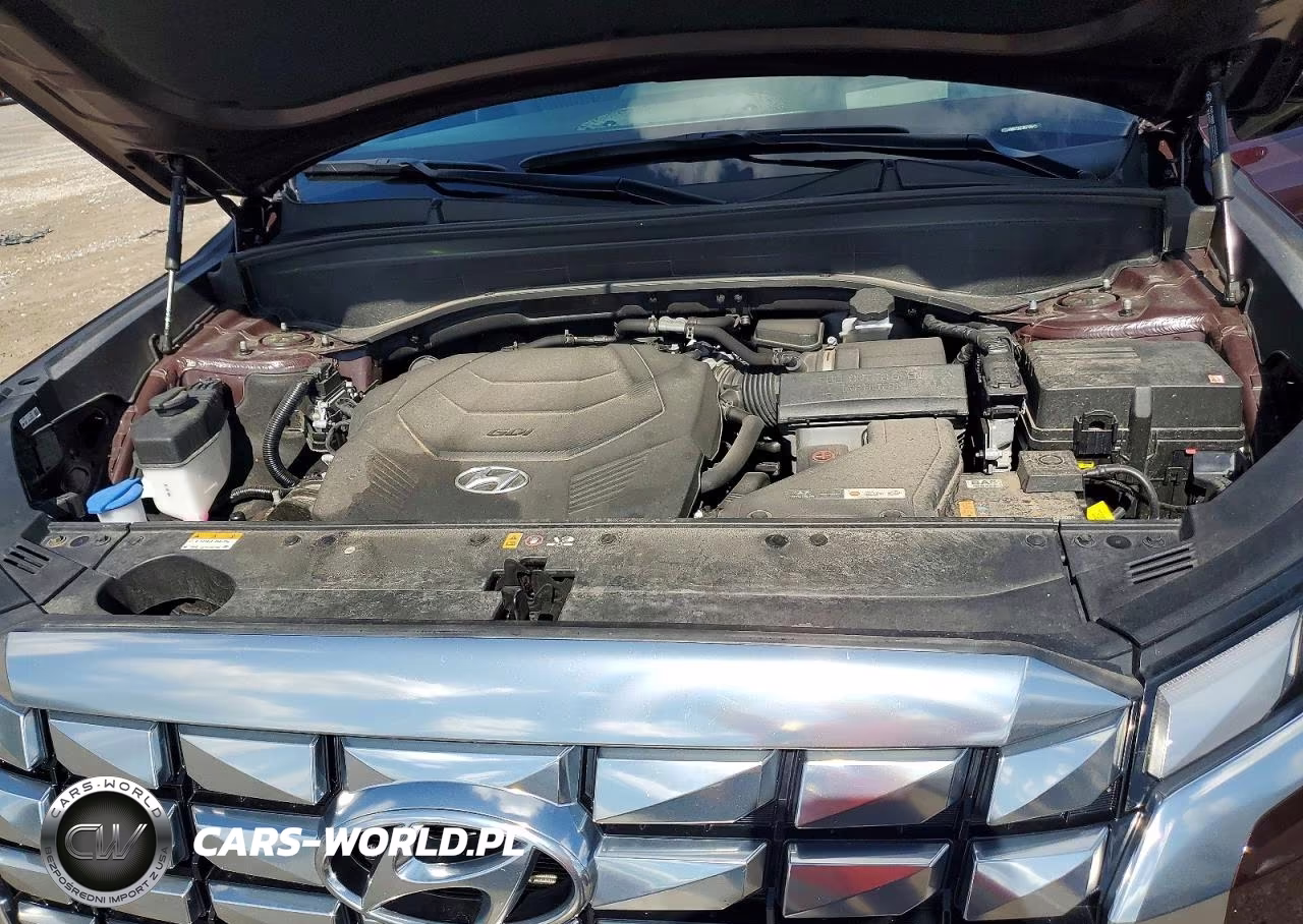 2024 Hyundai Palisade Calligraphy VIN:KM8R7DGE0RU768915 - 12