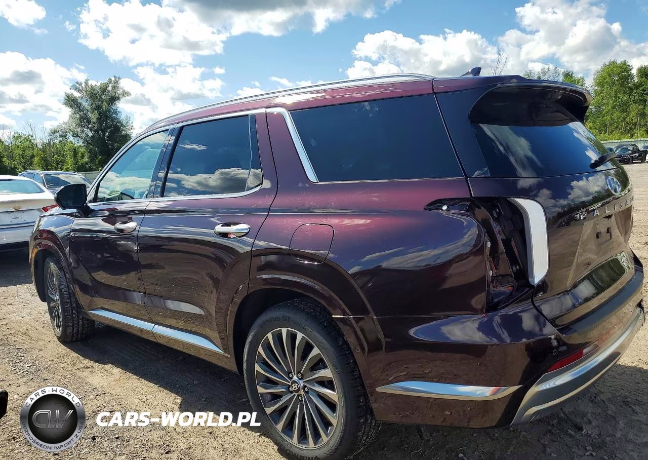 2024 Hyundai Palisade Calligraphy VIN:KM8R7DGE0RU768915 - 2