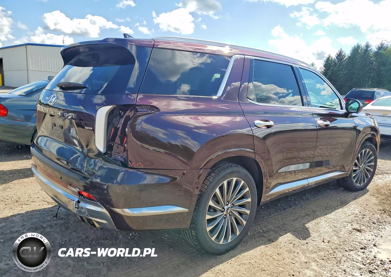 2024 Hyundai Palisade Calligraphy VIN:KM8R7DGE0RU768915 - 3