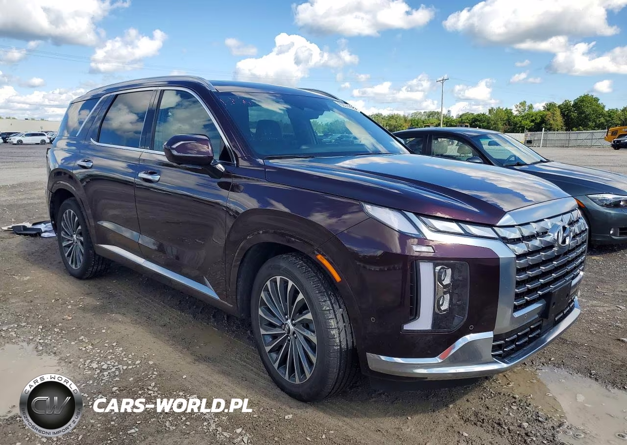 2024 Hyundai Palisade Calligraphy VIN:KM8R7DGE0RU768915 - 4