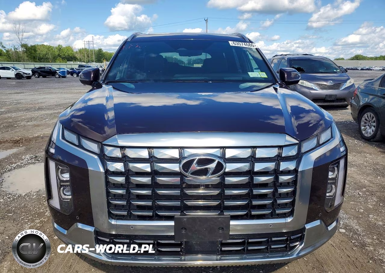 2024 Hyundai Palisade Calligraphy VIN:KM8R7DGE0RU768915 - 5