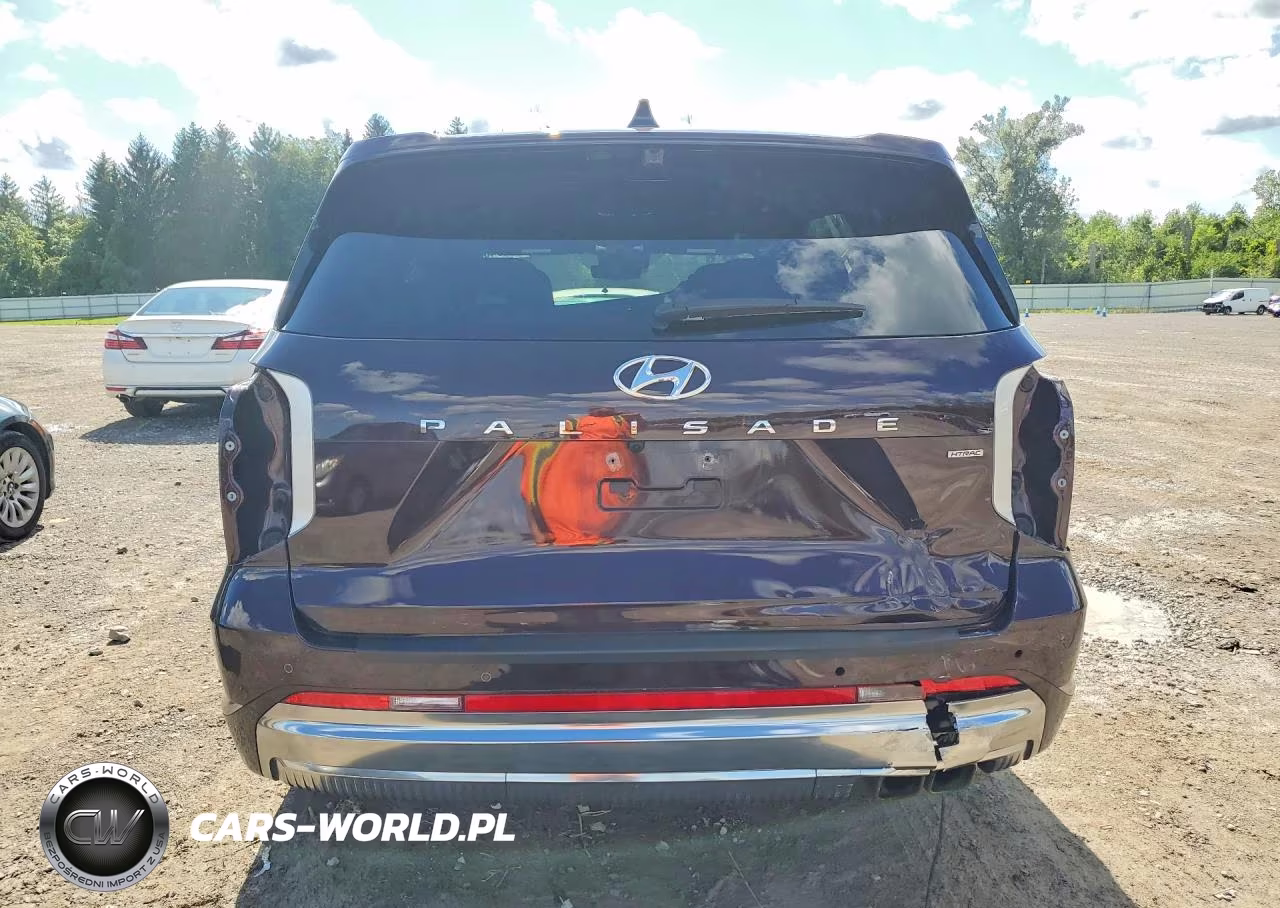2024 Hyundai Palisade Calligraphy VIN:KM8R7DGE0RU768915 - 6