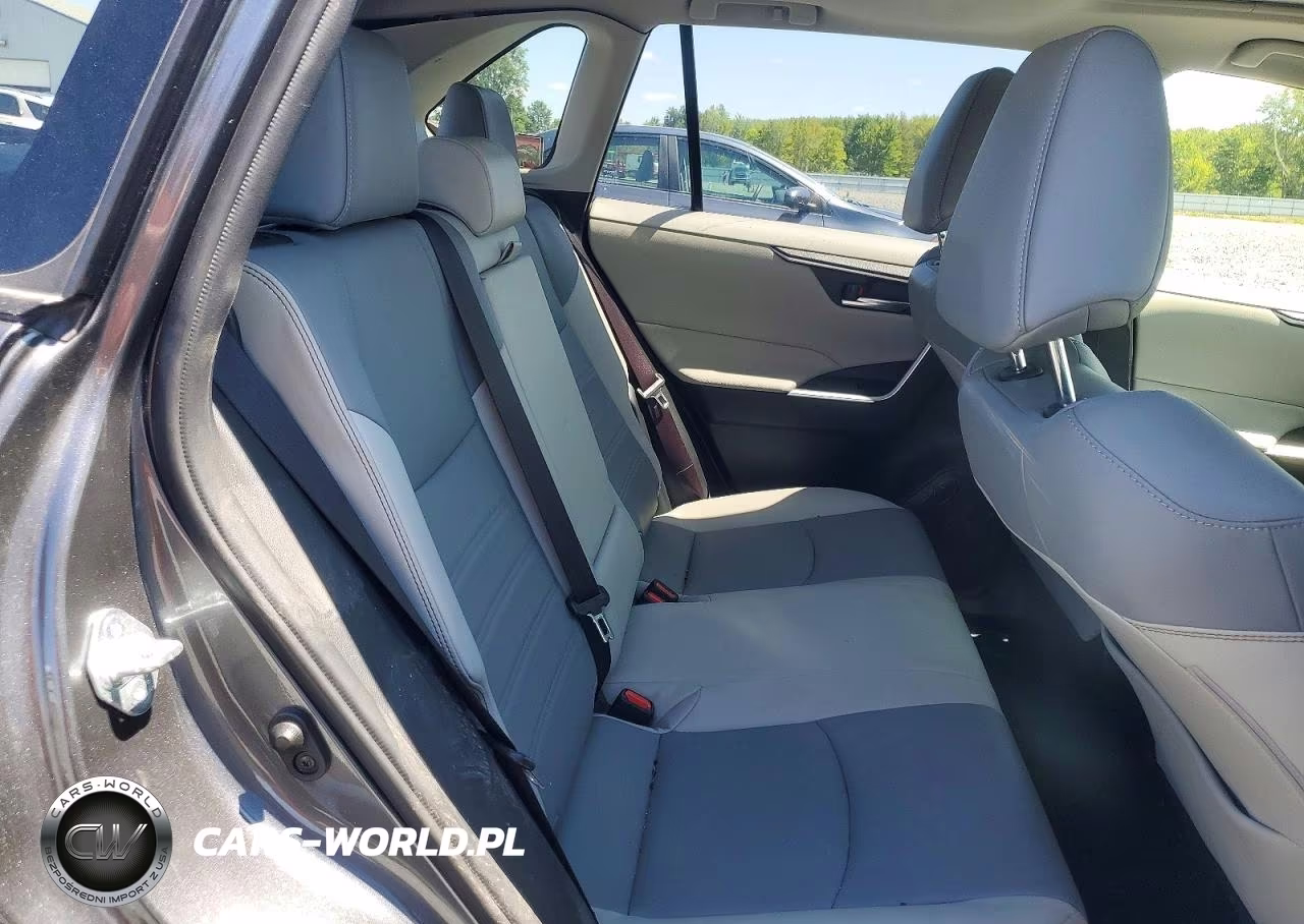2019 Toyota Rav4 Xle Premium VIN:JTMA1RFV6KD013811 - 11