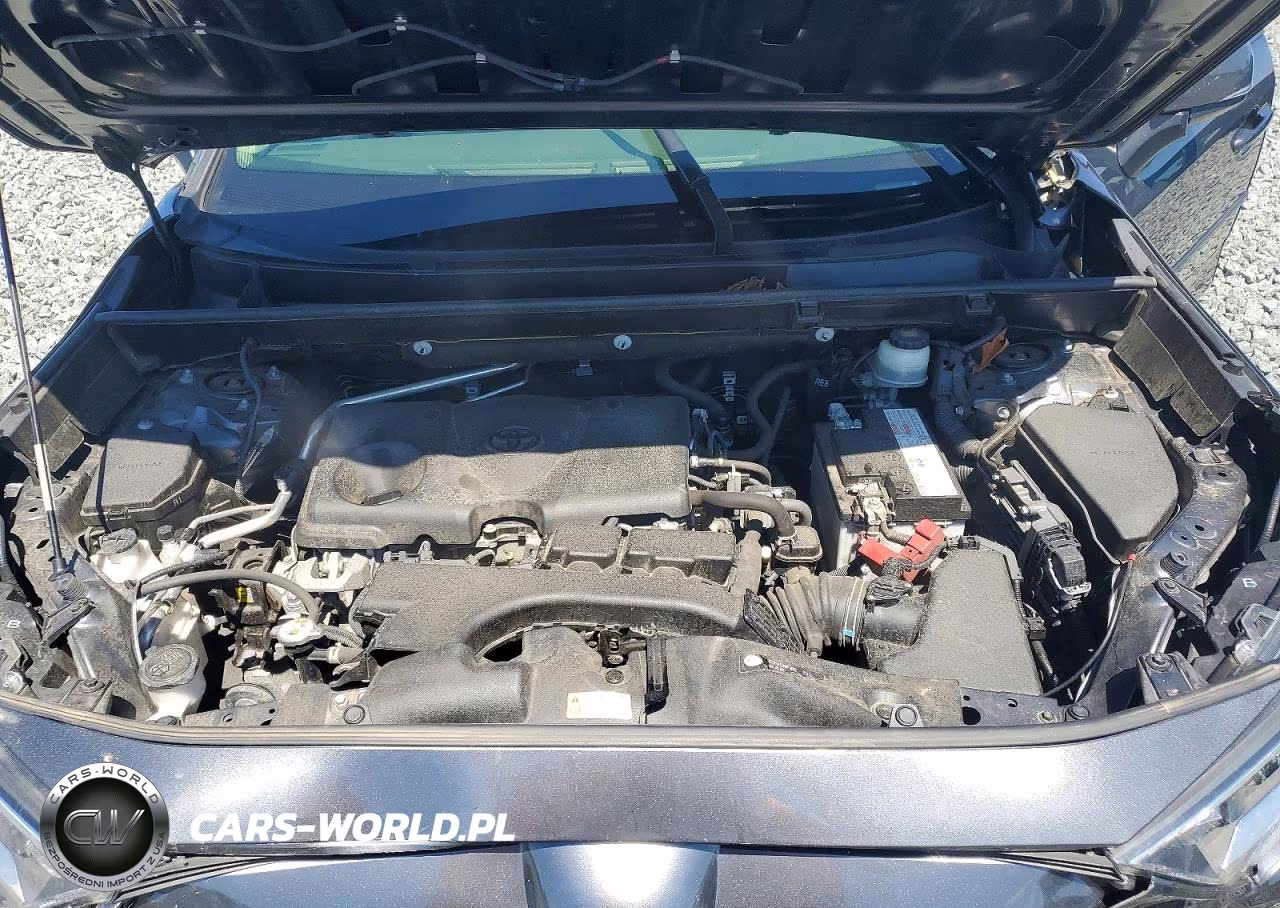 2019 Toyota Rav4 Xle Premium VIN:JTMA1RFV6KD013811 - 12