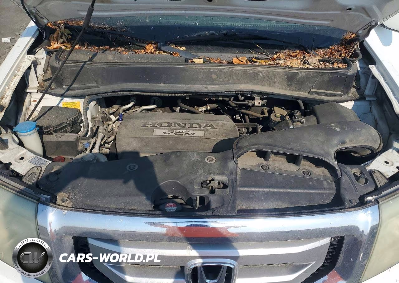 2009 Honda Pilot Ex VIN:5FNYF48409B045647 - 12