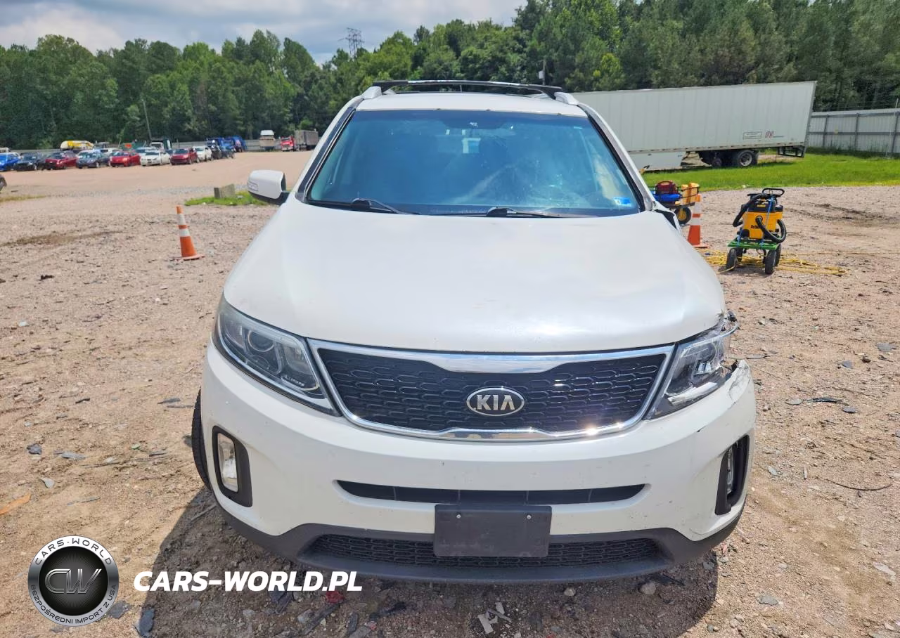 2014 Kia Sorento Lx VIN:5XYKTDA79EG540483 - 5