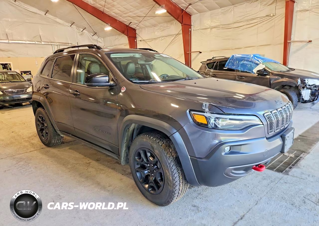 2022 Jeep Cherokee Trailhawk VIN:1C4PJMBXXND553025 - 4