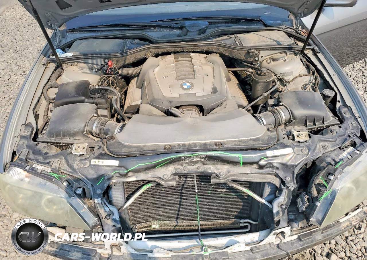 2006 BMW 750 Li VIN:WBAHN83596DT28199 - 11