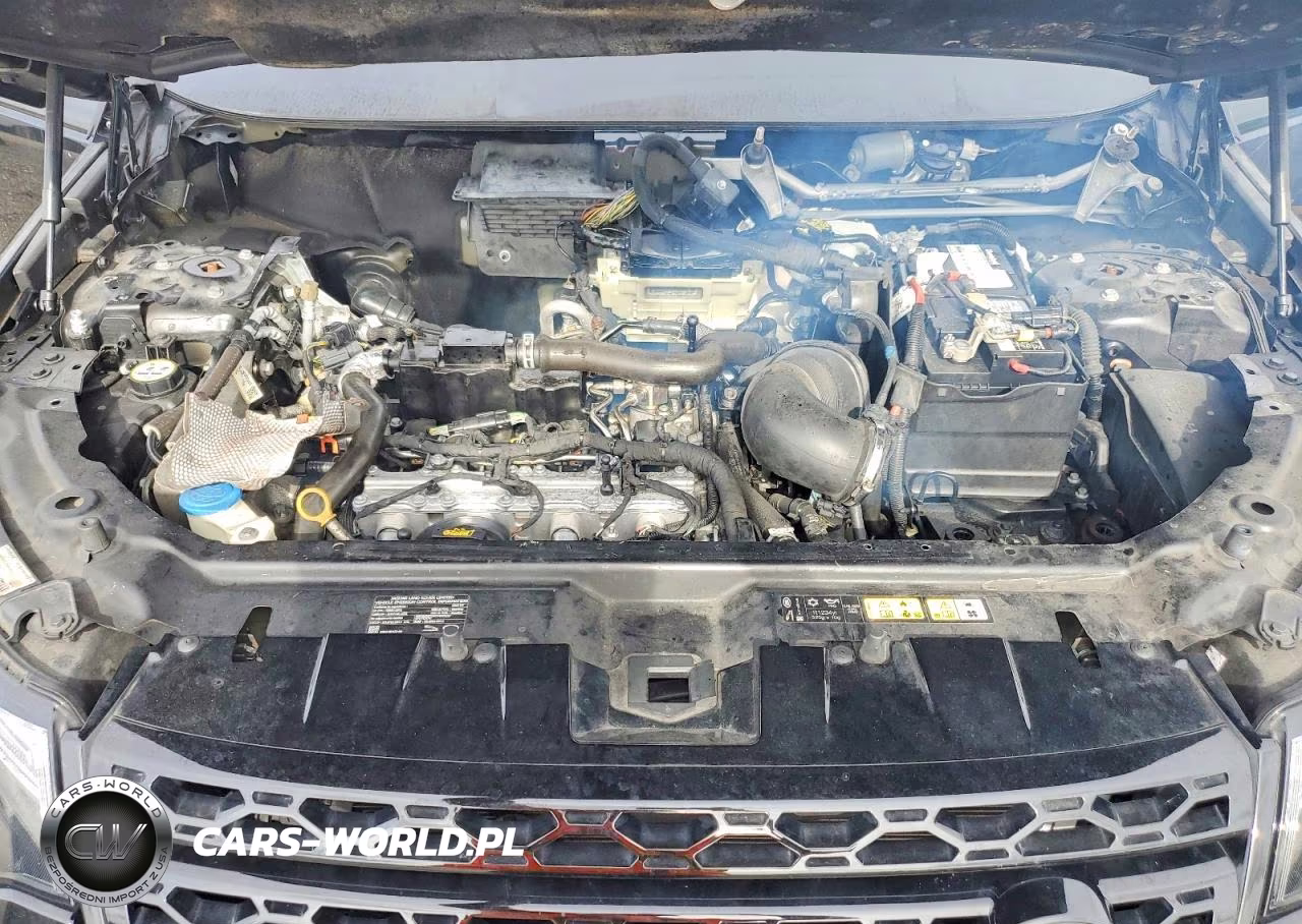 2019 Land Rover Discovery Sport Hse VIN:SALCR2FX5KH828741 - 11