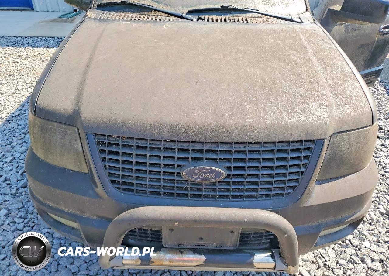 2006 Ford Expedition Limited VIN:1FMPU20556LA47828 - 12