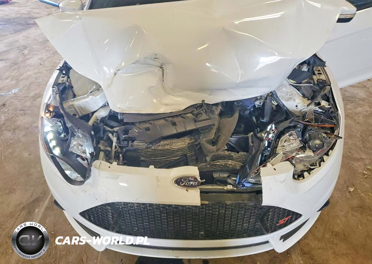 2013 Ford Focus St VIN:1FADP3L92DL126959 - 11
