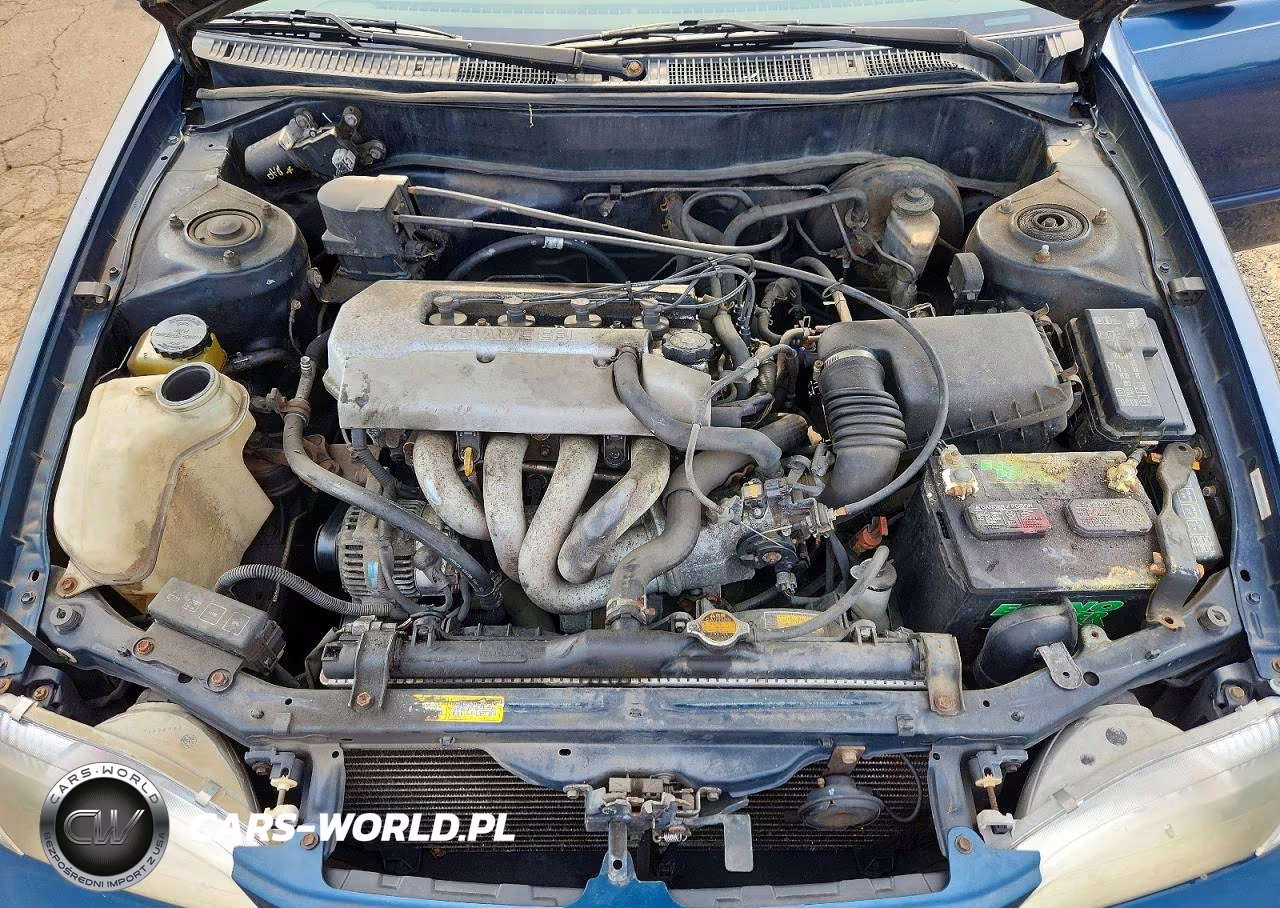 1999 Toyota Corolla Ve VIN:2T1BR12E7XC136834 - 11